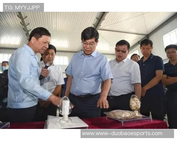 英雄联盟战术V5阵地战体系解析与实战应用探讨实时新闻